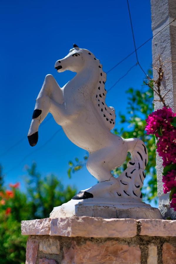 Villa Roel Sarandë 外观 照片
