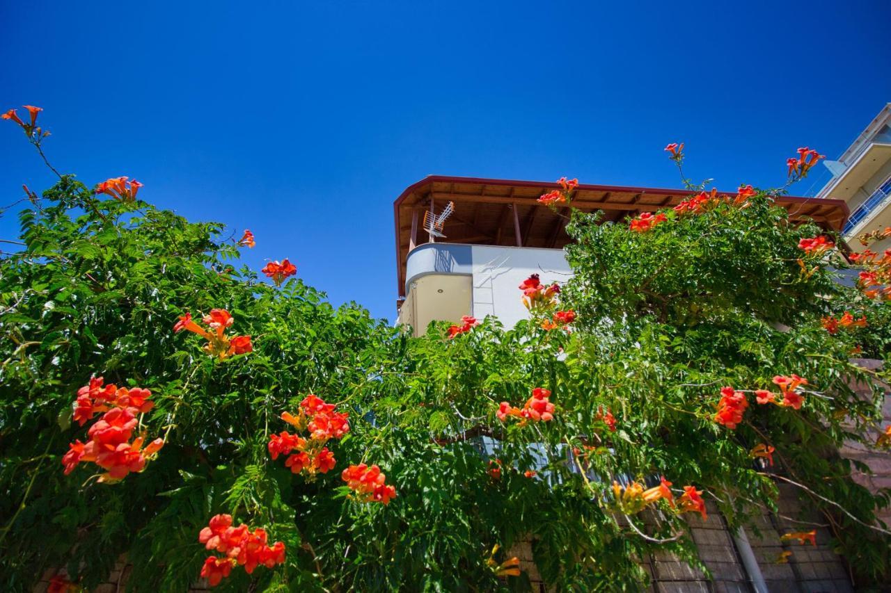 Villa Roel Sarandë 外观 照片